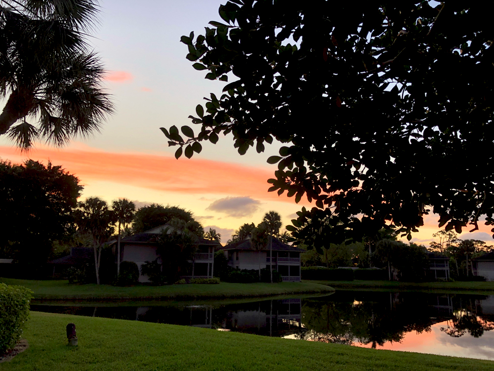 Golf Course Water