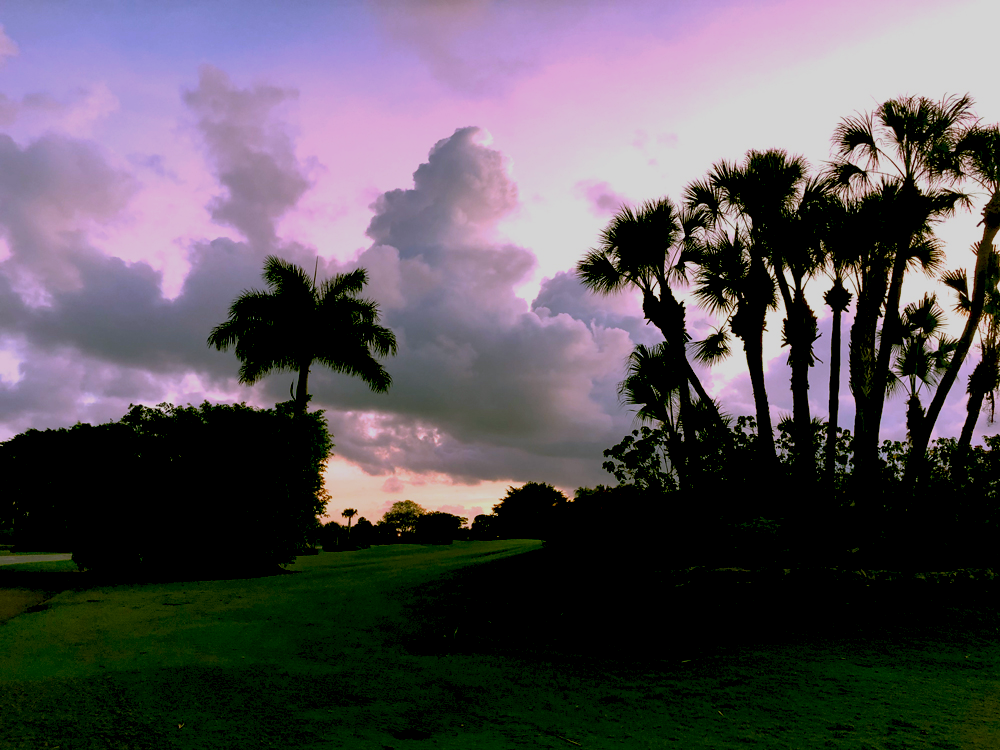 Golf Course At Sunset